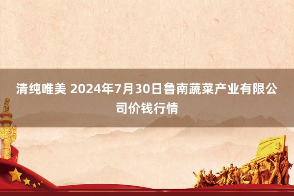 清纯唯美 2024年7月30日鲁南蔬菜产业有限公司价钱行情