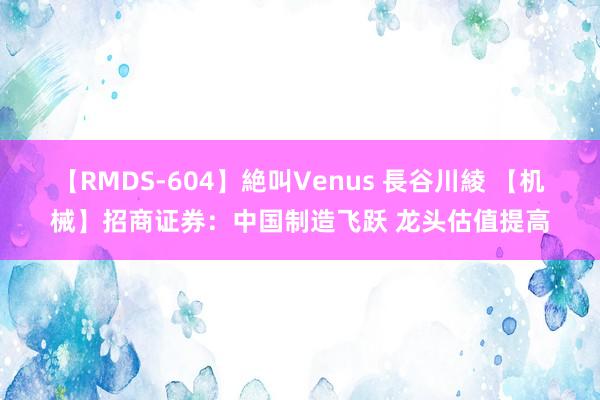 【RMDS-604】絶叫Venus 長谷川綾 【机械】招商证券：中国制造飞跃 龙头估值提高