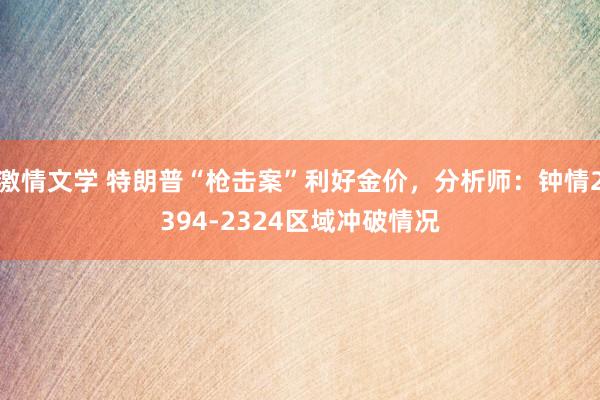 激情文学 特朗普“枪击案”利好金价，分析师：钟情2394-2324区域冲破情况