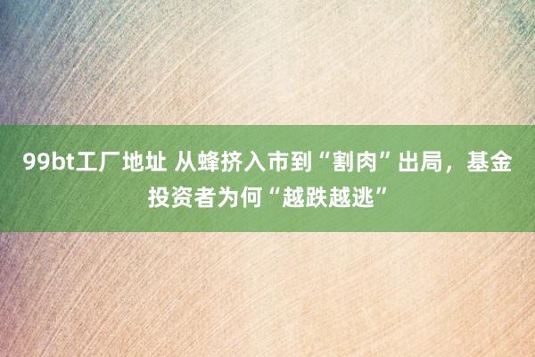 99bt工厂地址 从蜂挤入市到“割肉”出局，基金投资者为何“越跌越逃”