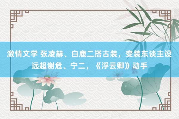 激情文学 张凌赫、白鹿二搭古装，变装东谈主设远超谢危、宁二，《浮云卿》动手