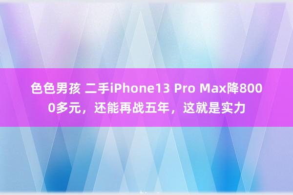 色色男孩 二手iPhone13 Pro Max降8000多元，还能再战五年，这就是实力