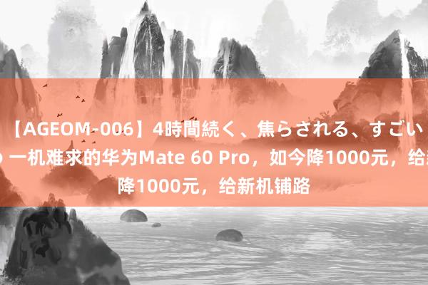 【AGEOM-006】4時間続く、焦らされる、すごい亀頭攻め 一机难求的华为Mate 60 Pro，如今降1000元，给新机铺路