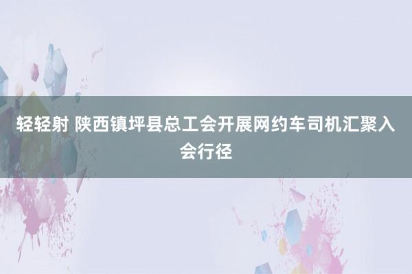 轻轻射 陕西镇坪县总工会开展网约车司机汇聚入会行径