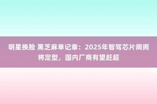 明星换脸 黑芝麻单记章：2025年智驾芯片阛阓将定型，国内厂商有望赶超