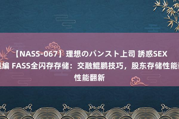 【NASS-067】理想のパンスト上司 誘惑SEX総集編 FASS全闪存存储：交融鲲鹏技巧，股东存储性能翻新