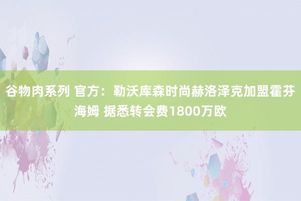 谷物肉系列 官方：勒沃库森时尚赫洛泽克加盟霍芬海姆 据悉转会费1800万欧