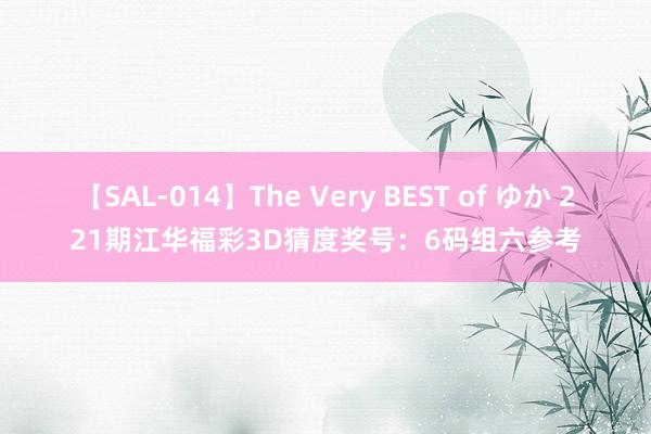 【SAL-014】The Very BEST of ゆか 221期江华福彩3D猜度奖号：6码组六参考