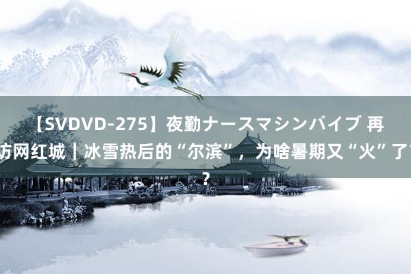 【SVDVD-275】夜勤ナースマシンバイブ 再访网红城｜冰雪热后的“尔滨”，为啥暑期又“火”了？