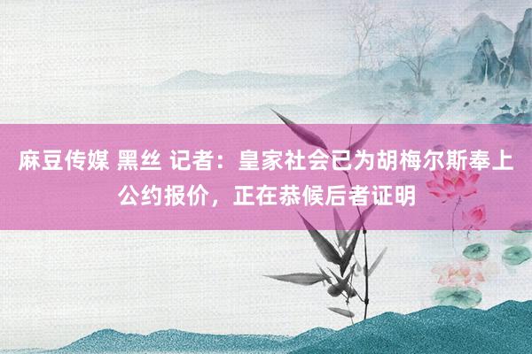 麻豆传媒 黑丝 记者：皇家社会已为胡梅尔斯奉上公约报价，正在恭候后者证明