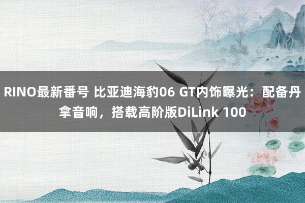 RINO最新番号 比亚迪海豹06 GT内饰曝光：配备丹拿音响，搭载高阶版DiLink 100