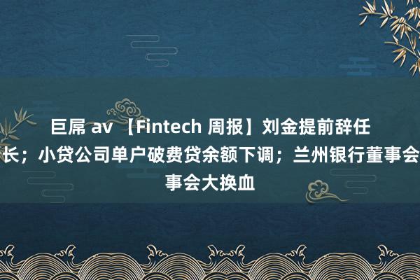 巨屌 av 【Fintech 周报】刘金提前辞任中行行长；小贷公司单户破费贷余额下调；兰州银行董事会大换血