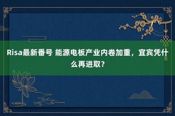 Risa最新番号 能源电板产业内卷加重，宜宾凭什么再进取？