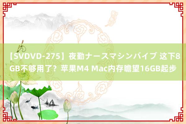 【SVDVD-275】夜勤ナースマシンバイブ 这下8GB不够用了？苹果M4 Mac内存瞻望16GB起步