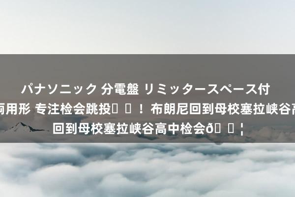 パナソニック 分電盤 リミッタースペース付 露出・半埋込両用形 专注检会跳投⛹️！布朗尼回到母校塞拉峡谷高中检会💦