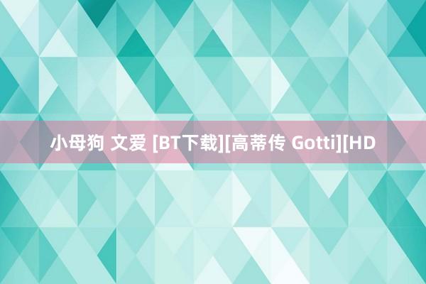 小母狗 文爱 [BT下载][高蒂传 Gotti][HD