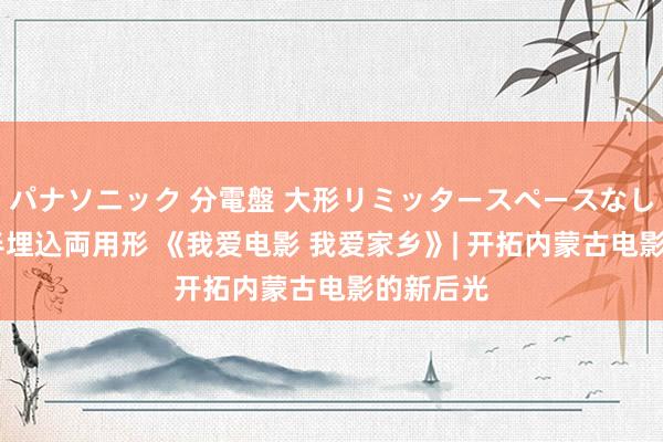 パナソニック 分電盤 大形リミッタースペースなし 露出・半埋込両用形 《我爱电影 我爱家乡》| 开拓内蒙古电影的新后光