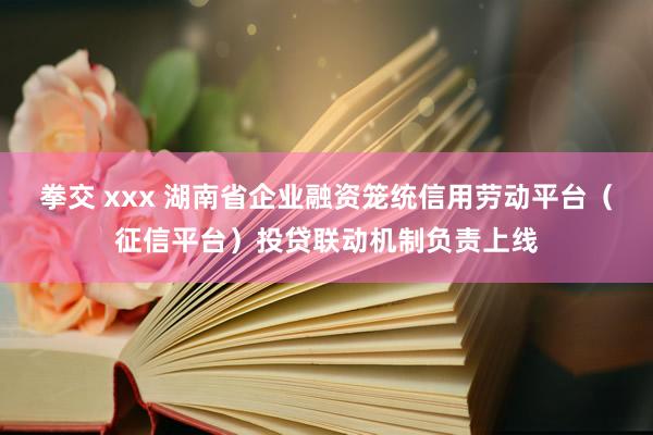 拳交 xxx 湖南省企业融资笼统信用劳动平台（征信平台）投贷联动机制负责上线