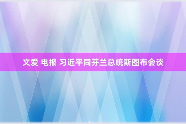 文爱 电报 习近平同芬兰总统斯图布会谈